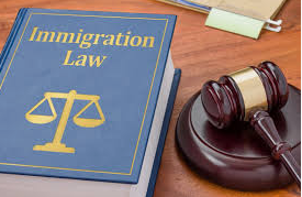 Immigration Attorney