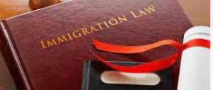 Immigration Attorney