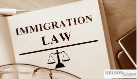 Immigration Attorney