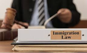 Immigration Attorney